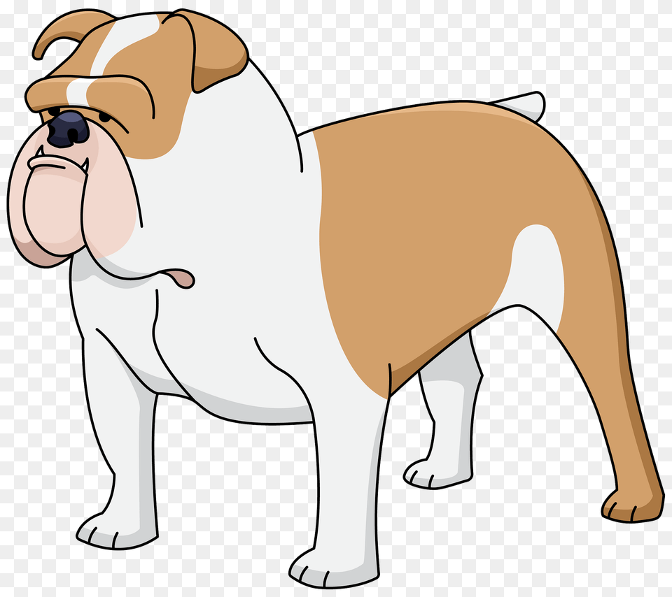 Bulldog Clipart, Animal, Canine, Mammal, Dog Free Transparent Png