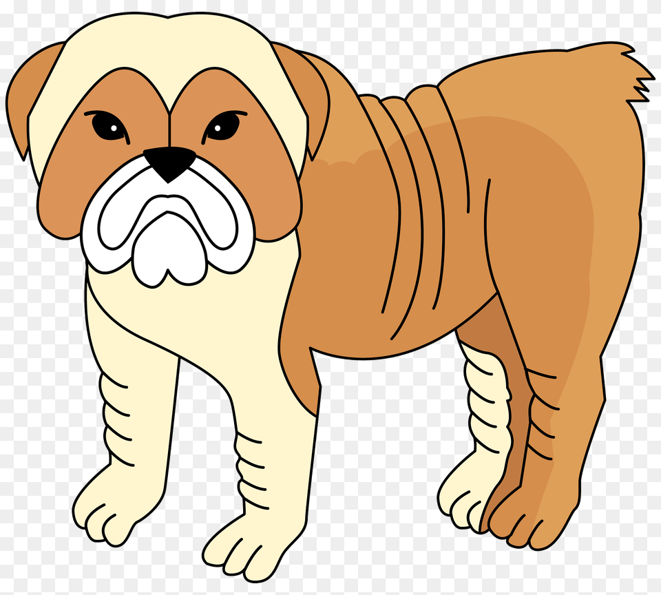 Bulldog Clipart, Animal, Canine, Mammal, Pet Free Transparent Png