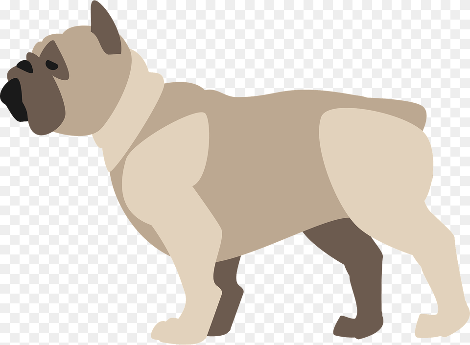Bulldog Clipart, Animal, Canine, Dog, Mammal Free Transparent Png