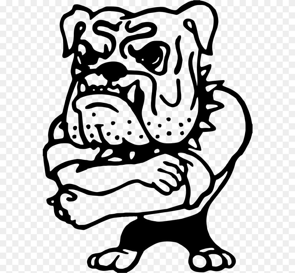 Bulldog Clipart High School Northern Lehigh Bulldog Band, Art, Animal, Mammal, Pet Free Png Download