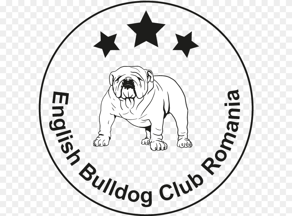 Bulldog Club Romania Vector Graphics, Animal, Canine, Dog, Mammal Free Transparent Png