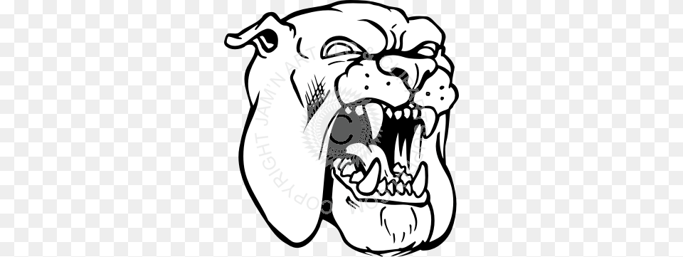 Bulldog Head Biting, Teeth, Body Part, Person, Mouth Free Png Download