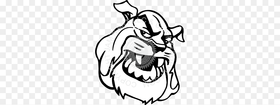 Bulldog Head Showing Teeth, Baby, Person Png Image