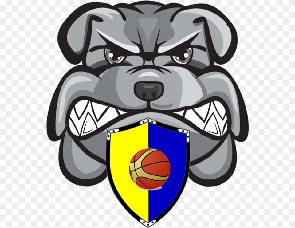 Bulldog Head Vector, Ball, Basketball, Basketball (ball), Sport Free Png Download