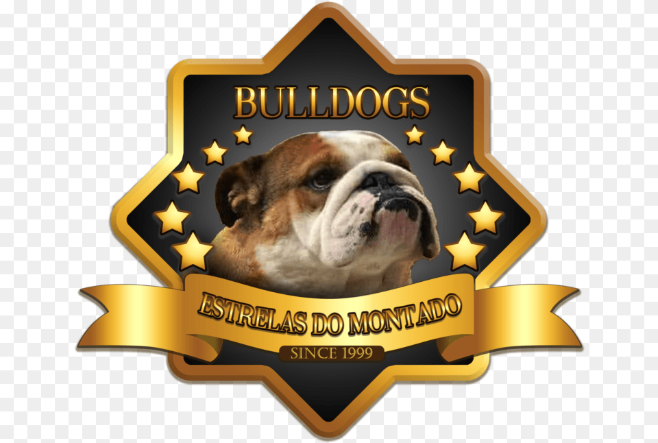 Bulldog Ingls Illustration, Animal, Canine, Dog, Pet Png Image