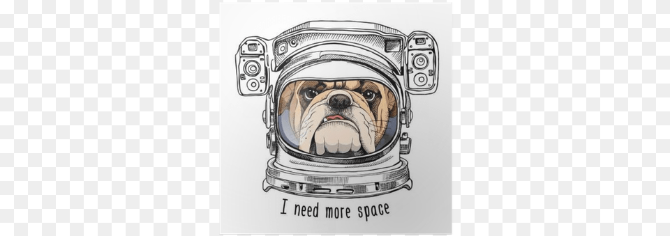 Bulldog Portrait In A Astronaut39s Helmet Astronaut Bulldog, Art, Drawing, Animal, Canine Free Png Download