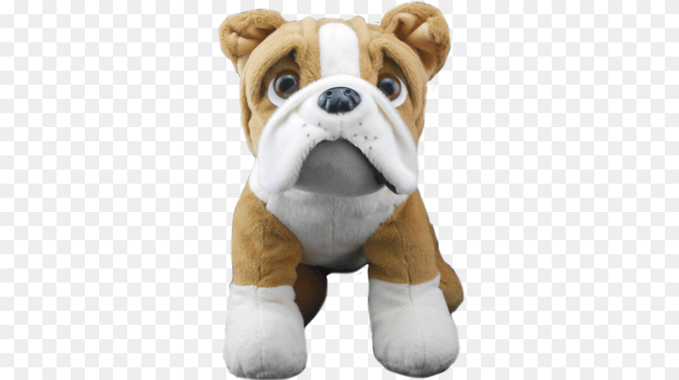 Bulldog Stuffed Toy, Teddy Bear, Animal, Canine, Dog Free Png Download