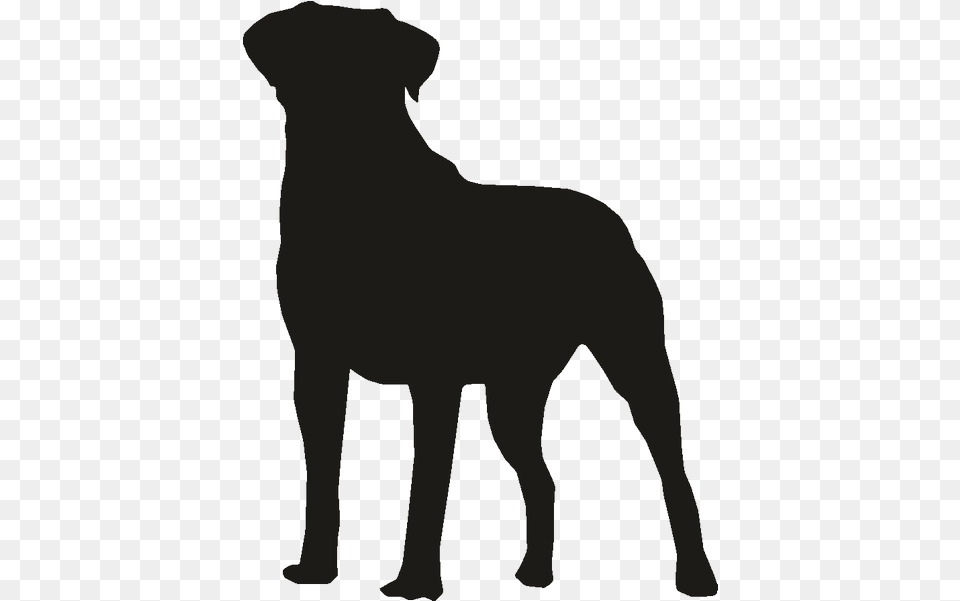 Bulldog The Rottweiler Pug Clip Art Rottweiler Silhouette, Person, Animal, Canine, Mammal Png Image