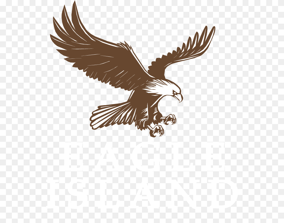 Bulldozer Us Eagls, Animal, Bird, Kite Bird, Eagle Png