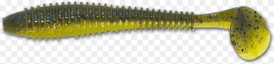 Bullet, Animal, Fish, Sea Life Png