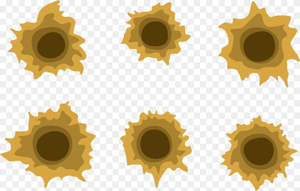 Bullet Hole Clipart Vector Bullet Hole In Wood, Flower, Plant, Sunflower, Pattern Free Transparent Png
