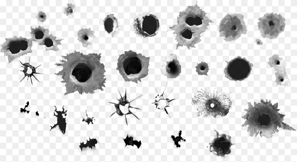 Bullet Hole Stickers Bullet Holes, Outdoors, Nature, Flower, Plant Free Png Download