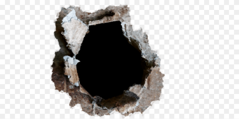 Bullet Hole Wood, Animal, Canine, Dog, Mammal Free Transparent Png