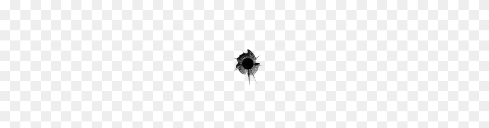 Bullet Holes Timehd, Flower, Plant, Hole, Sunflower Png Image