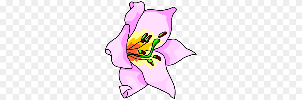 Bulletin Board Clip Art, Anther, Flower, Petal, Plant Png Image