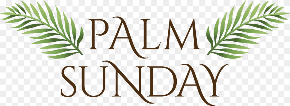 Bulletin For Palm Sunday March 25 2017 Pax Alla Romana Gli Eterni Vizi Del Potere, Herbal, Herbs, Leaf, Plant Png Image