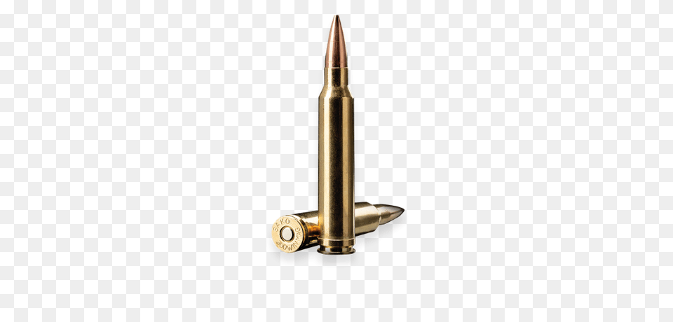 Bullets Picture Web Icons, Ammunition, Weapon, Bullet Free Png Download