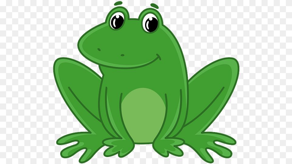 Bullfrog, Amphibian, Animal, Frog, Wildlife Png
