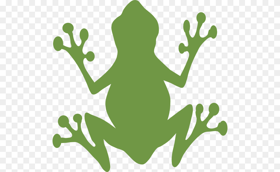 Bullfrog Clipart, Amphibian, Animal, Frog, Wildlife Free Png