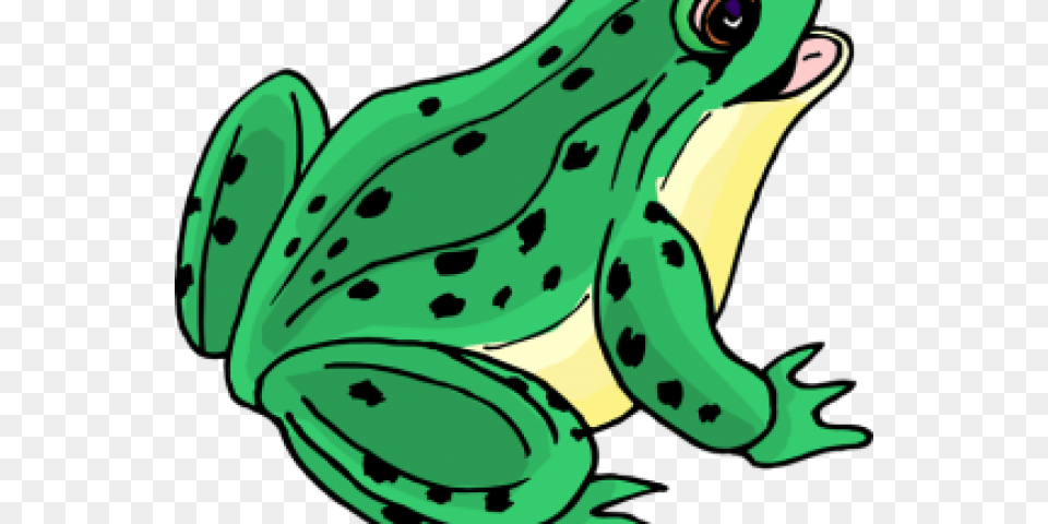 Bullfrog Clipart Tongue, Amphibian, Animal, Frog, Wildlife Free Png