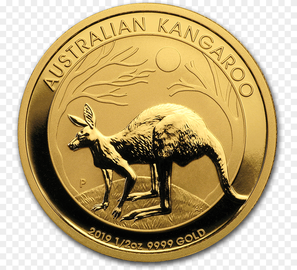 Bullionmark Accredited Certified Gold Silver 12 Oz 2019 Australia Gold Kangaroo, Animal, Antelope, Mammal, Wildlife Free Png