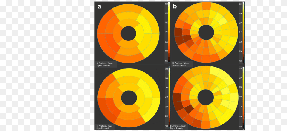 Bulls Eye Graphs Representing The Mean Signal Intensity Circle, Machine, Wheel, Art Png