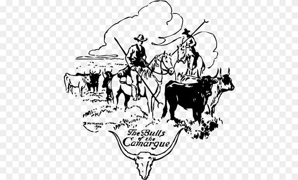 Bulls Of Camargue Clip Arts Cattle Drive Clipart, Gray Free Png Download