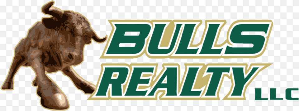 Bulls Realty Logo, Animal, Bull, Mammal, Buffalo Png Image