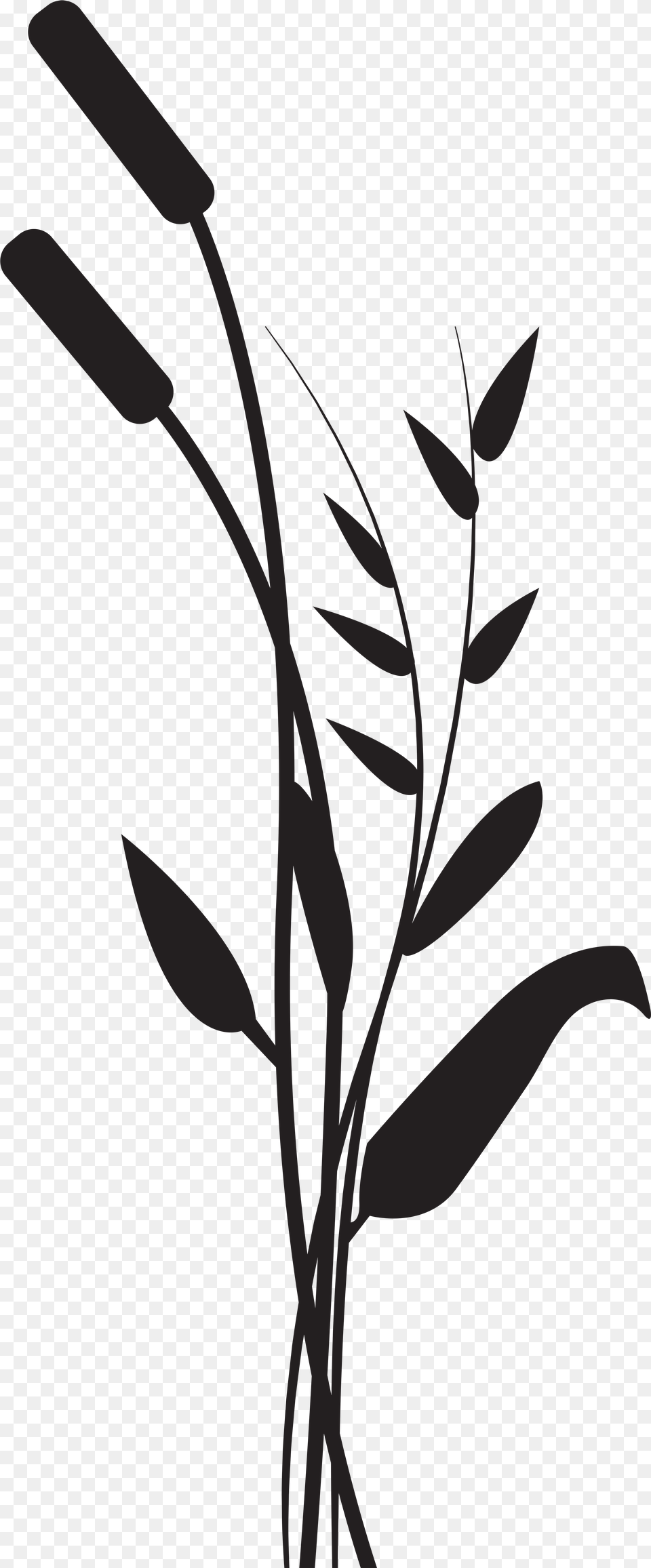 Bulrush, Art, Flower, Plant, Flax Free Png