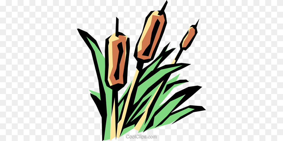 Bulrushes Royalty Vector Clip Art Illustration, Plant, Reed Free Png Download