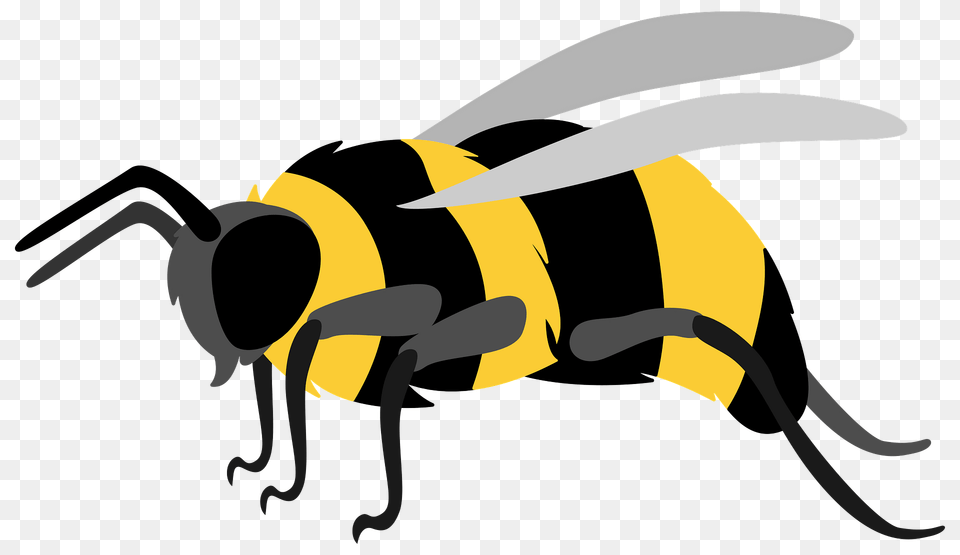 Bumble Bee Clipart, Animal, Invertebrate, Insect, Wasp Png