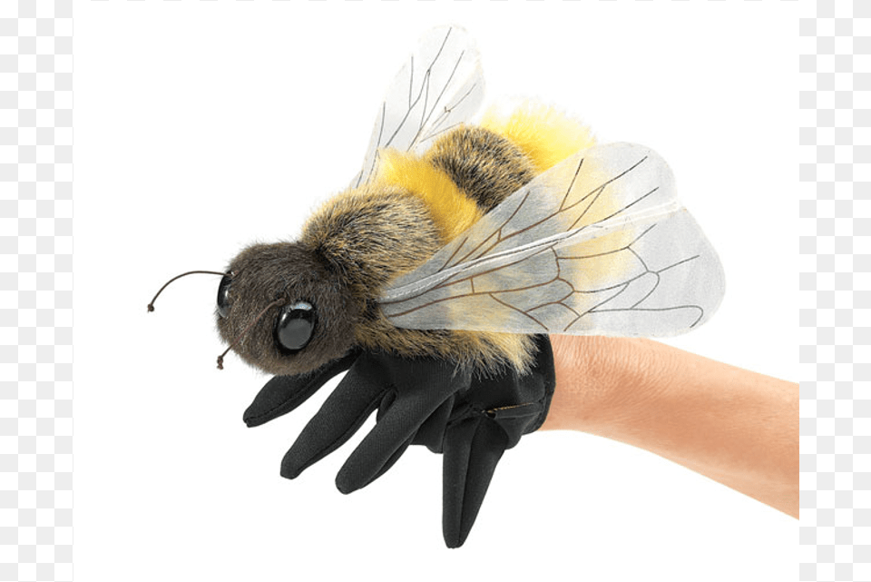 Bumble Bee Hand Puppet, Animal, Honey Bee, Insect, Invertebrate Free Png