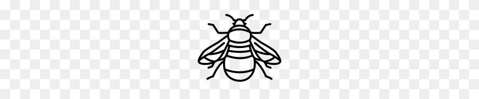 Bumble Bee Icons Noun Project, Gray Free Transparent Png