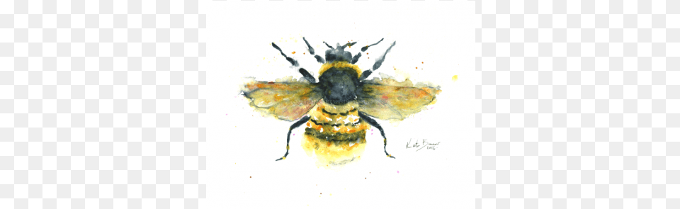 Bumble Bee Illustration Print Watercolour Bee, Animal, Apidae, Bumblebee, Insect Png