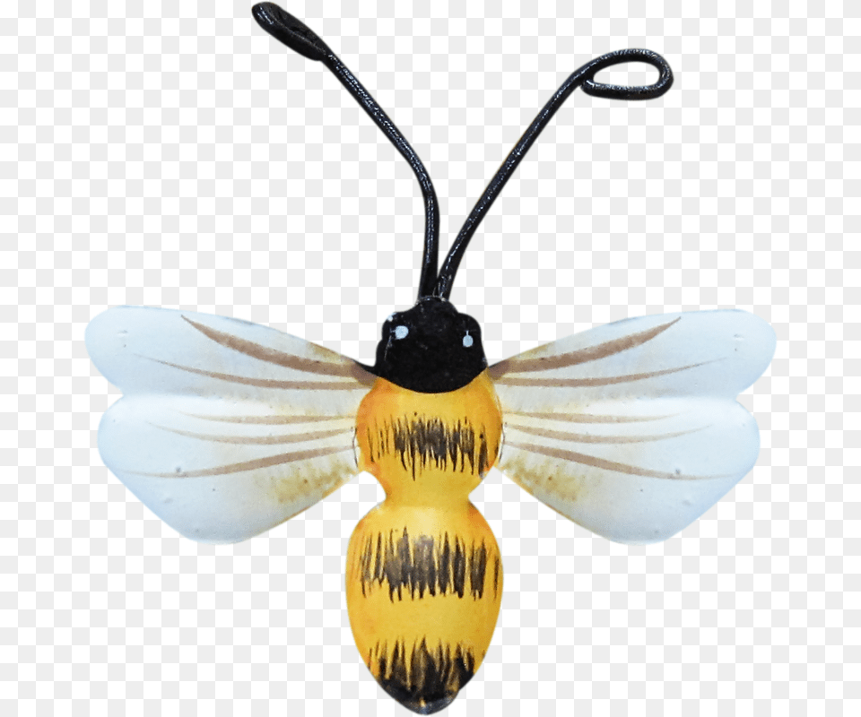 Bumble Bees Honey Bees Clip Art Bees Bee Pictures Honeybee, Animal, Insect, Invertebrate, Wasp Png Image
