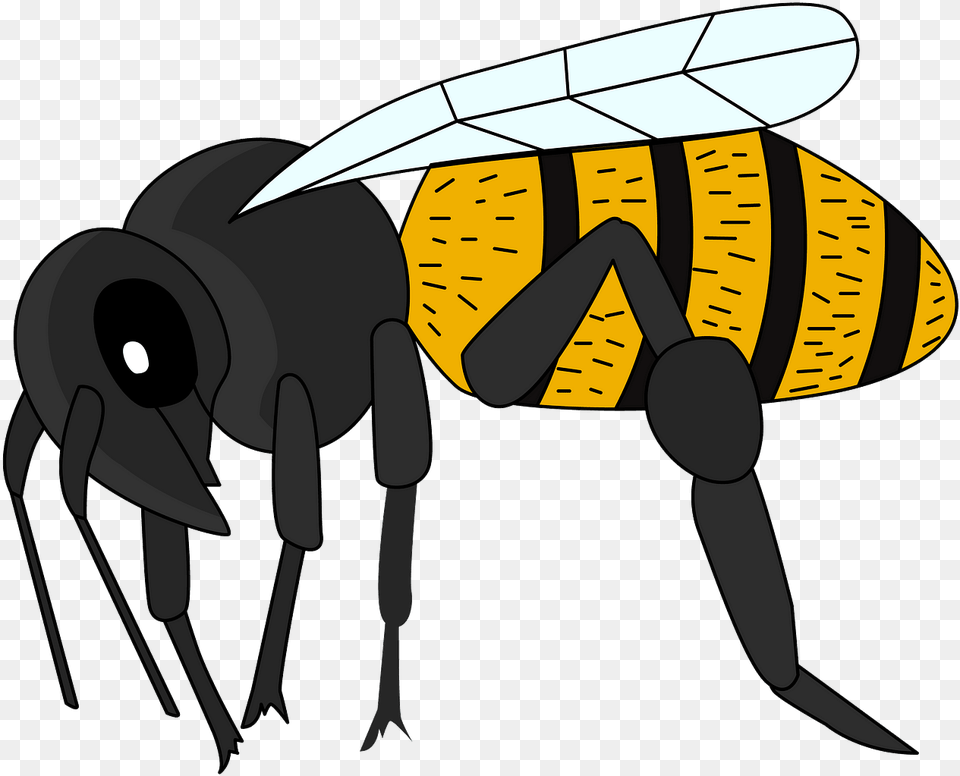 Bumblebee, Animal, Invertebrate, Insect, Wasp Png Image