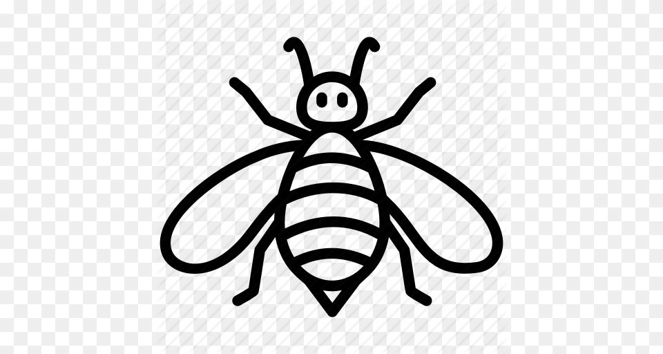 Bumblebee Cartoon Bee Fly Honey Bee Insect Icon, Animal, Invertebrate, Wasp, Honey Bee Png Image