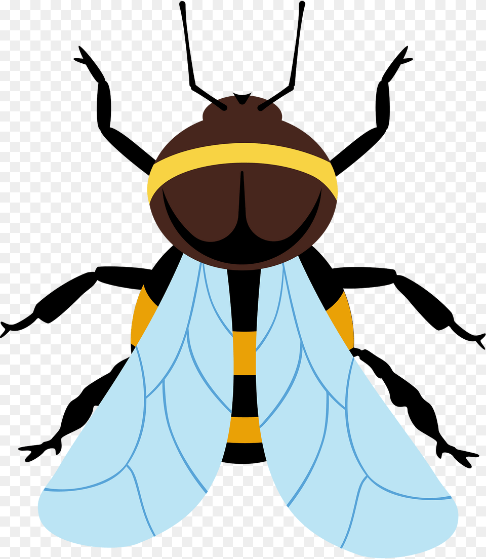 Bumblebee Clipart, Animal, Bee, Insect, Invertebrate Free Transparent Png