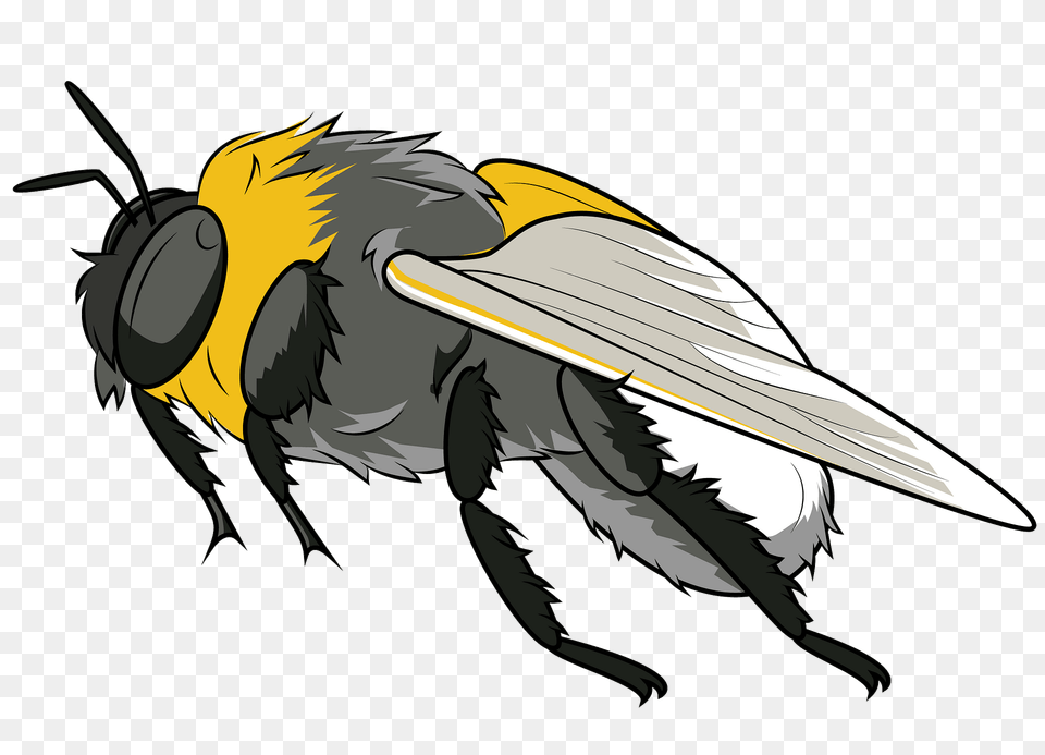 Bumblebee Clipart, Animal, Apidae, Bee, Invertebrate Free Transparent Png