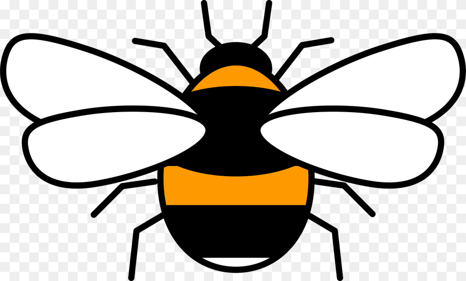 Bumblebee Clipart, Animal, Invertebrate, Insect, Wasp Free Transparent Png