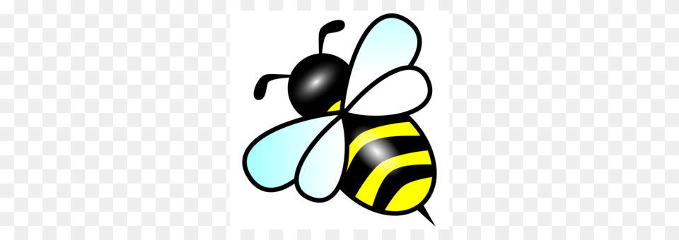 Bumblebee Computer Icons Honey Bee Characteristics Of Common Wasps, Animal, Insect, Invertebrate, Wasp Free Transparent Png