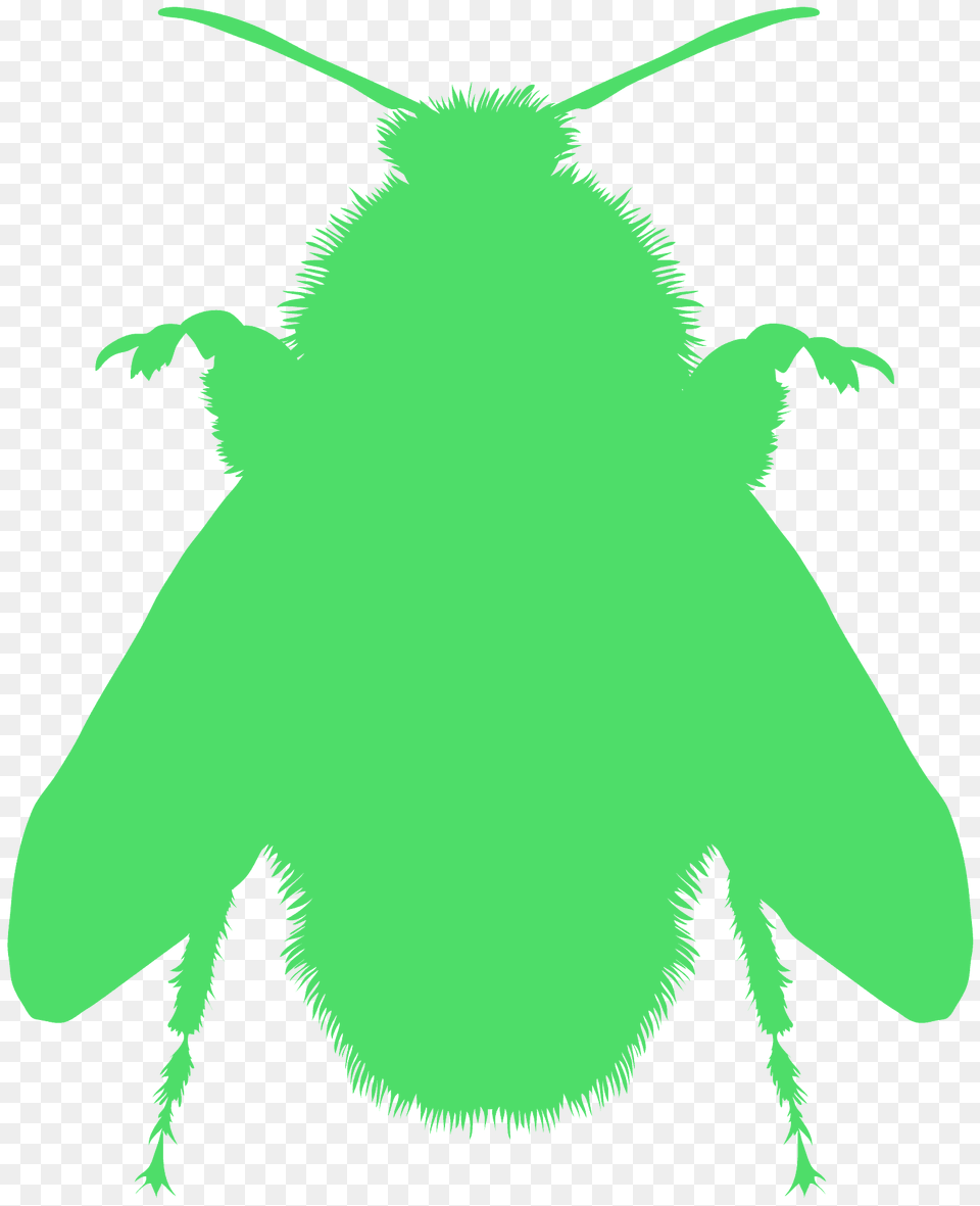 Bumblebee Silhouette, Animal, Bee, Insect, Invertebrate Png Image