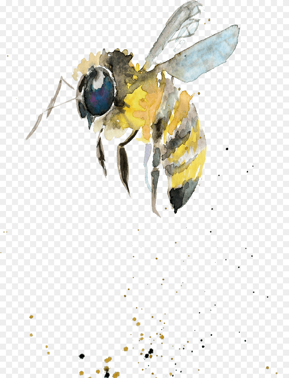 Bumblebee Watercolor Painting Drawing Insect Watercolor Watercolor Bumble Bee, Animal, Invertebrate, Wasp, Apidae Free Transparent Png