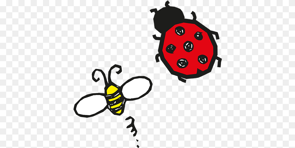 Bumblebees And Ladybirds Ladybug, Animal, Bee, Insect, Invertebrate Png Image