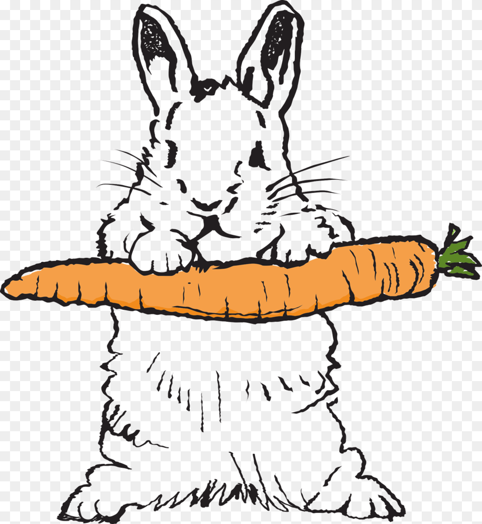 Bumbles Bunny Logo Domestic Rabbit, Carrot, Food, Plant, Produce Free Png