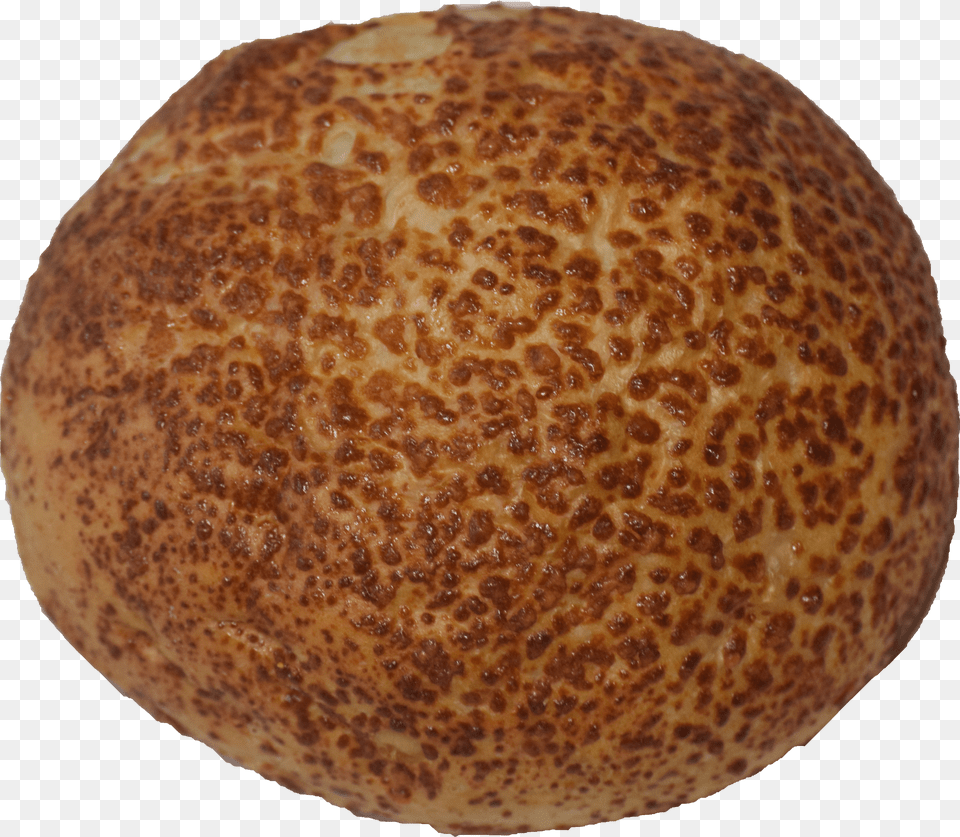 Bun Png Image