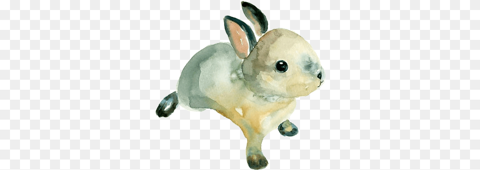 Bun Discovered By Gabi Simple Watercolor Animals, Animal, Mammal, Rabbit, Rat Png Image