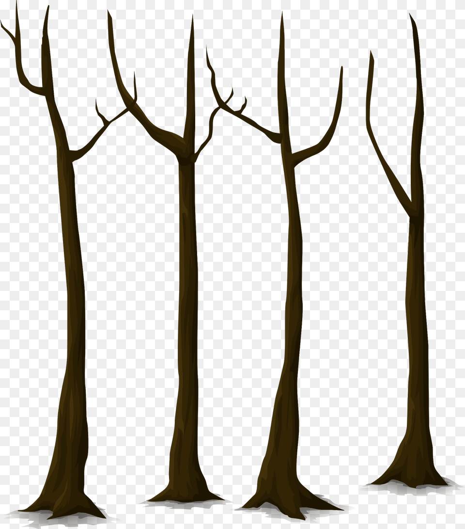 Bunch Bare Tree Clipart, Land, Nature, Outdoors, Plant Free Png