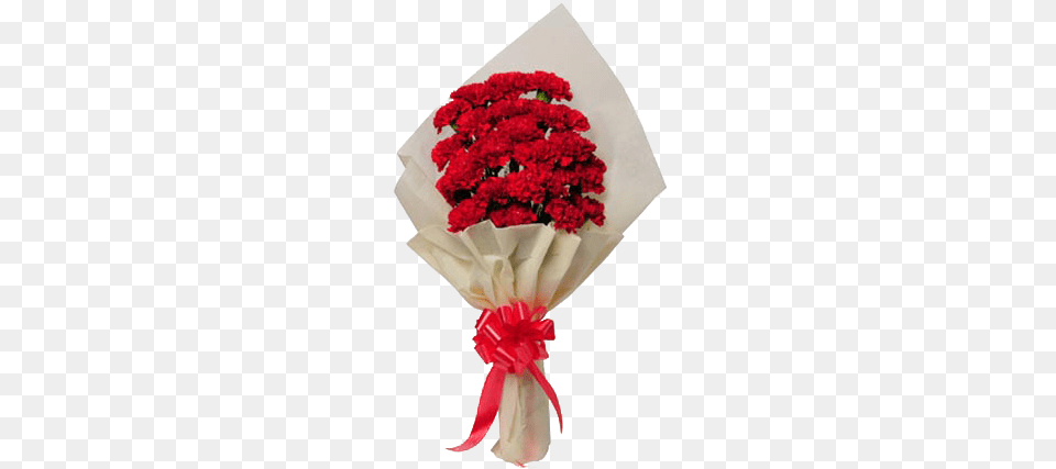 Bunch Of 25 Red Carnations Bunches Flowers With Hand, Flower Bouquet, Carnation, Plant, Flower Free Png