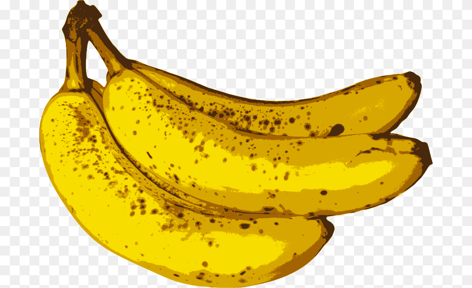 Bunch Of Bananas Banana Fruit, Food, Plant, Produce Png Image